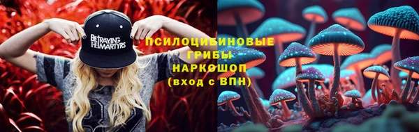 mdpv Елизово