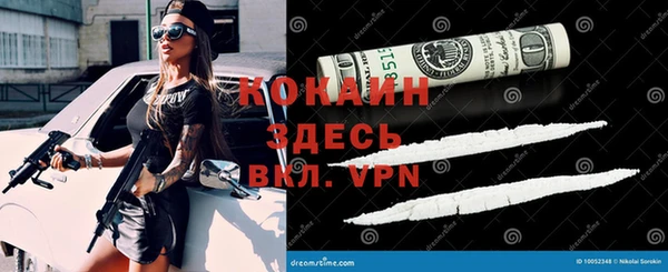 mdpv Елизово
