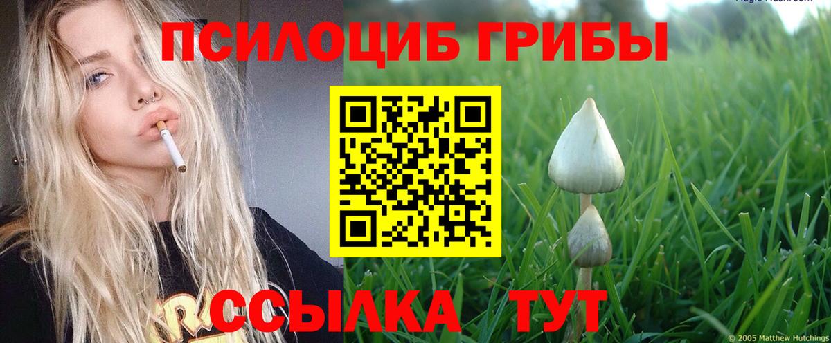 Псилоцибиновые грибы мухоморы  Галлюциногенные грибы Psilocybe  Вход с VPN  Зеленодольск 